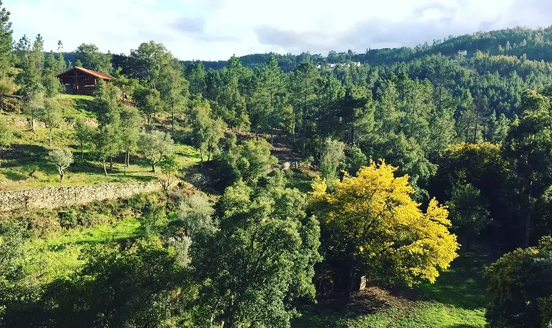 Yoga Retreat Center For Sale in Portugal Europe Yoga Retreat Center For Sale in Portugal Europe